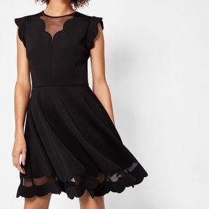 NWT Ted Baker dress.
